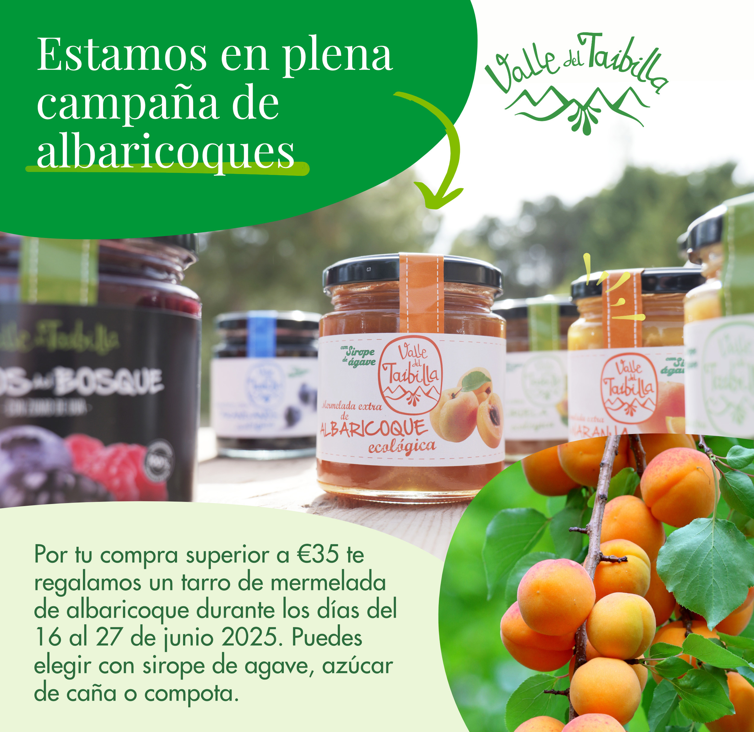 Comprar Mermelada De Albaricoque Natural 